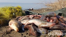 За час нересту у полтавських браконьєрів вилучили понад тонну риби