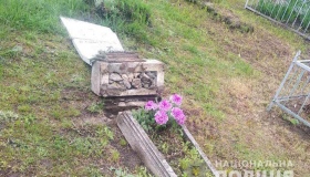 На кладовищі у Решетилівському районі діти пошкодили 25 надгробків