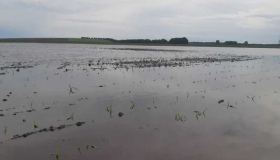 На Полтавщині позатоплювало сільскогосподарські поля