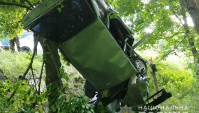 Внаслідок ДТП на Полтавщині автівку закинуло на дерево.ФОТО