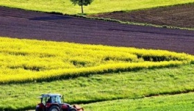Фермер із Полтавщини незаконно орендував майже 300 гектарів землі