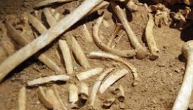 У піску, привезеному з Кременчука, виявили людські останки
