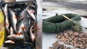 В області підрахували збитки від рибних браконьєрів