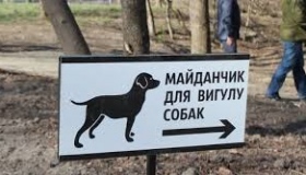 У Полтаві з'явиться майданчик для вигулу собак