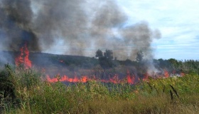 Тридцять п'ять рятувальників гасили пожежу на Полтавщині