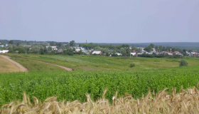 На Котелевщині фермер незаконно отримав двісті гектарів землі