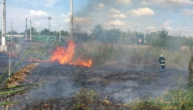 За день на Полтавщині вигоріло 50 гектарів трави