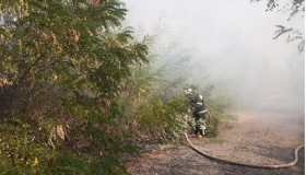 За добу на Полтавщині вигоріло майже 18 гектарів сухостою