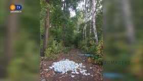 У лісі на Полтавщині влаштували смітник з простроченої продукції