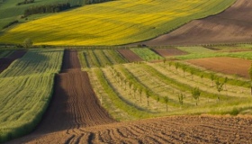На Полтавщині у власність держави повернули 32 га землі