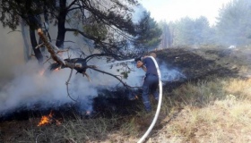 На Полтавщині протягом доби намагаються загасити лісову пожежу, залучили авіацію