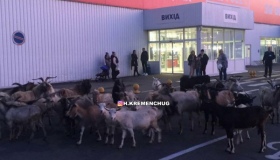 Кози окупували кременчуцький гіпермаркет
