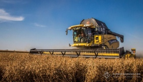 На Полтавщині зібрали більше двох мільйонів тонн зерна