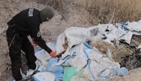 На Полтавщині знищили наркотики на півтора мільйона гривень
