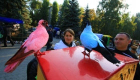 Кременчужани провели міжнародний фестиваль голубів