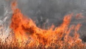На Полтавщині під час спалювання сухої трави загинув чоловік