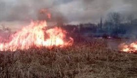 На Полтавщині продовжують гасити масштабні пожежі на торфовищах