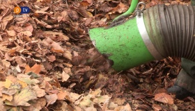 Опале листя у полтавських парках тепер збирають пилососами