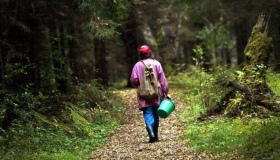На Полтавщині другу добу шукають жінку, яка заблукала у лісі