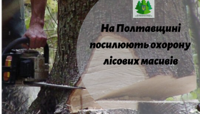 На Полтавщині посилили охорону лісів