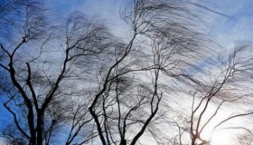 На  Полтавщині пориви вітру сягають 20 метрів за секунду