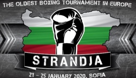 Хижняк боксуватиме у півфіналі болгарського турніру