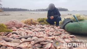 На Глобинщині рибалка-браконьєр наловив понад 150 кг риби