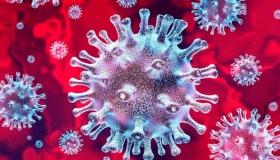 Загадка коронавірусу: діти майже не заражаються