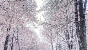Висота снігу на Полтавщині збільшилась на шість сантиметрів