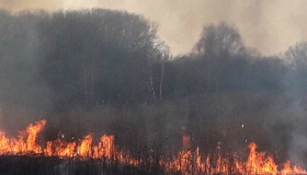 На Полтавщині вигоріла суха трава на площі 87 гектарів