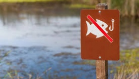 Операція "Нерест": на Полтавщині запроваджують заборону на риболовлю