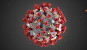 Три підозри на коронавірус не підтвердилися