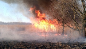 З початку року на Полтавщині виникло майже 700 пожеж