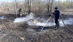 Триває ліквідація пожежі на торфовищі поблизу Сенчі