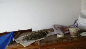 Поліція на Пирятинщині вилучила понад кілограм канабісу