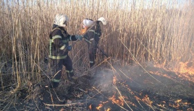 Вогнеборці ліквідували 11 пожеж на відкритій території