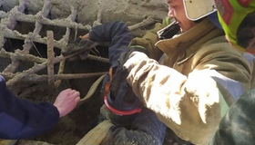 У Полтаві чоловіка визволили з піщаної пастки. ВІДЕО