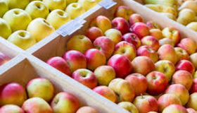 Ціна на яблука зросла на 50 відсотків