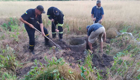 Із ями рятувальники витягли корову