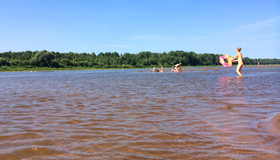 Через спеку у водоймах Полтавщини небезпечно купатися