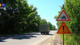 На Полтавщині замість дорожніх знаків з черепахою планують встановити білборди