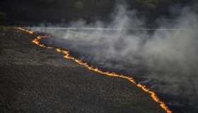 На Полтавщині врятували від вогню одинадцять гектарів лісу