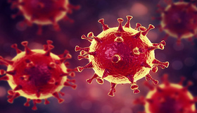 Минулої доби в області зафіксували 35 нових випадків захворювання на коронавірусну інфекцію