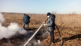 У п’яти районах Полтавщини гасять пожежі торфовищ