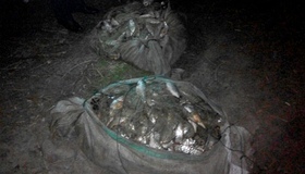 Полтавський браконьєр незаконно ловив рибу в заказнику “Сулинський”