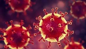 На Полтавщині - плюс 536 нових випадків коронавірусу
