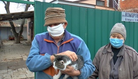 На Полтавщині вакцинують домашніх тварин через випадок сказу
