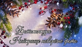 Кобеляччан запросили на конкурс "Найкраще новорічне фото"