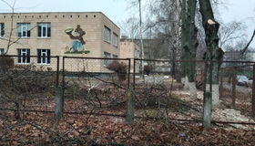 Біля полтавської школи спиляли десяток лип