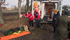 На Полтавщині травмувався чоловік під час спилювання дерева